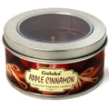 Apple Cinnamon Travel Tin Candle 2.4 oz – Warm Aromatherapy Candle for Cozy Ambiance