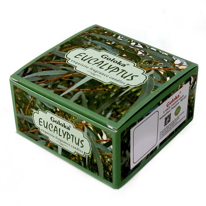 Eucalyptus Travel Tin Candle 2.4 oz – Fresh Aromatherapy Candle for Relaxation & Clarity