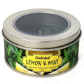 Lemon & Mint Travel Tin Candle 2.4 oz – Refreshing Aromatherapy Candle for Energy & Clarity